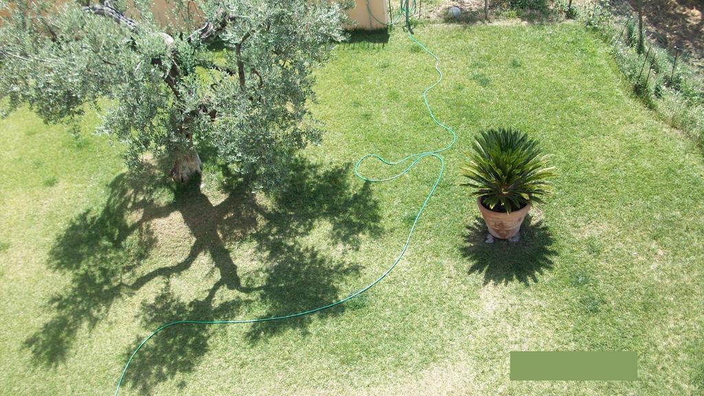 Il Giardino Degli Ulivi Bed & Breakfast Canneto  Екстериор снимка