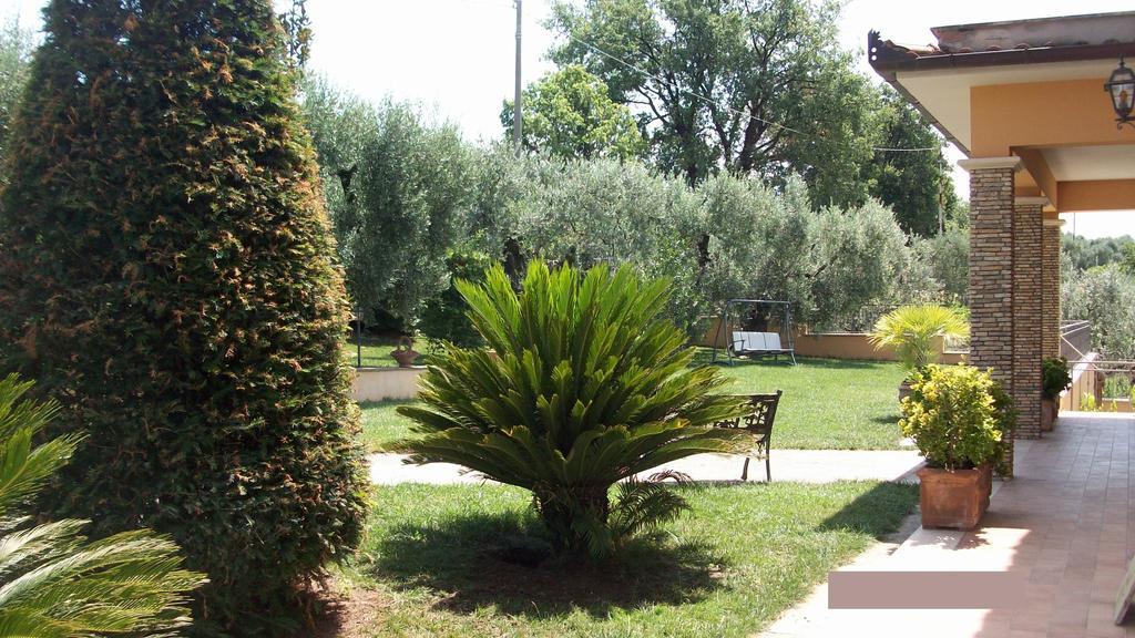 Il Giardino Degli Ulivi Bed & Breakfast Canneto  Екстериор снимка